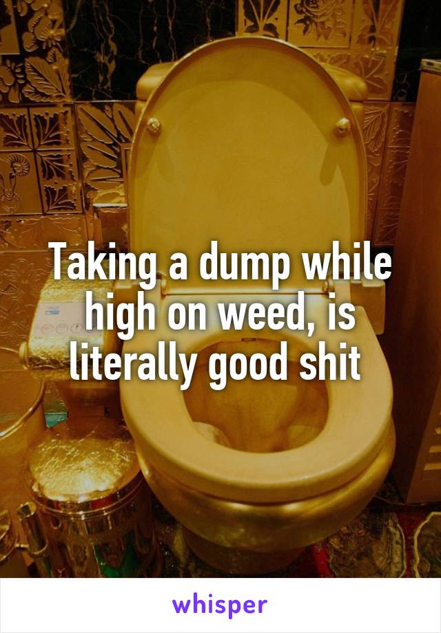 Taking a dump while high on weed, is literally good shit 