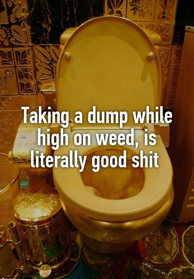 taking-a-dump-while-high-on-weed-is-literally-good-shit