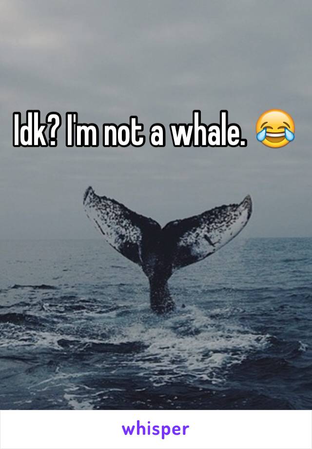 Idk? I'm not a whale. 😂