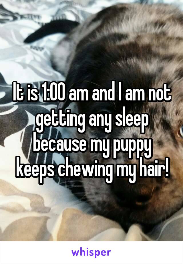 It is 1:00 am and I am not getting any sleep because my puppy keeps chewing my hair!