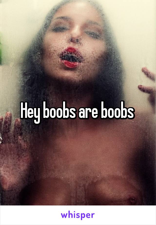 Hey boobs are boobs 