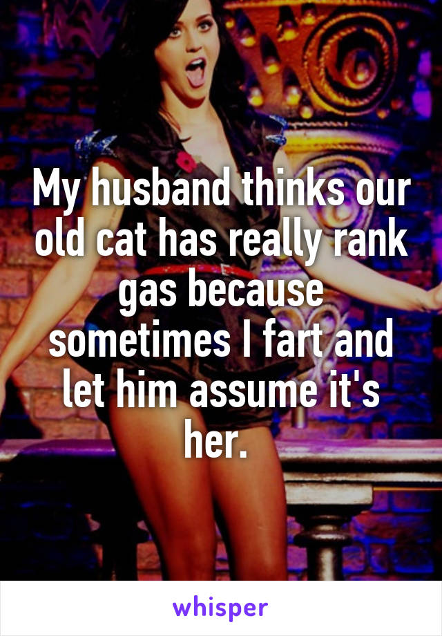 My husband thinks our old cat has really rank gas because sometimes I fart and let him assume it's her. 