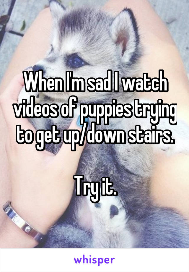 When I'm sad I watch videos of puppies trying to get up/down stairs.

Try it.