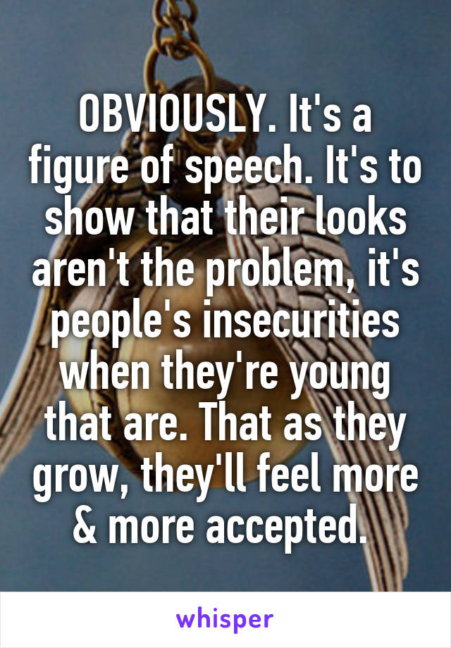 OBVIOUSLY. It's a figure of speech. It's to show that their looks aren't the problem, it's people's insecurities when they're young that are. That as they grow, they'll feel more & more accepted. 