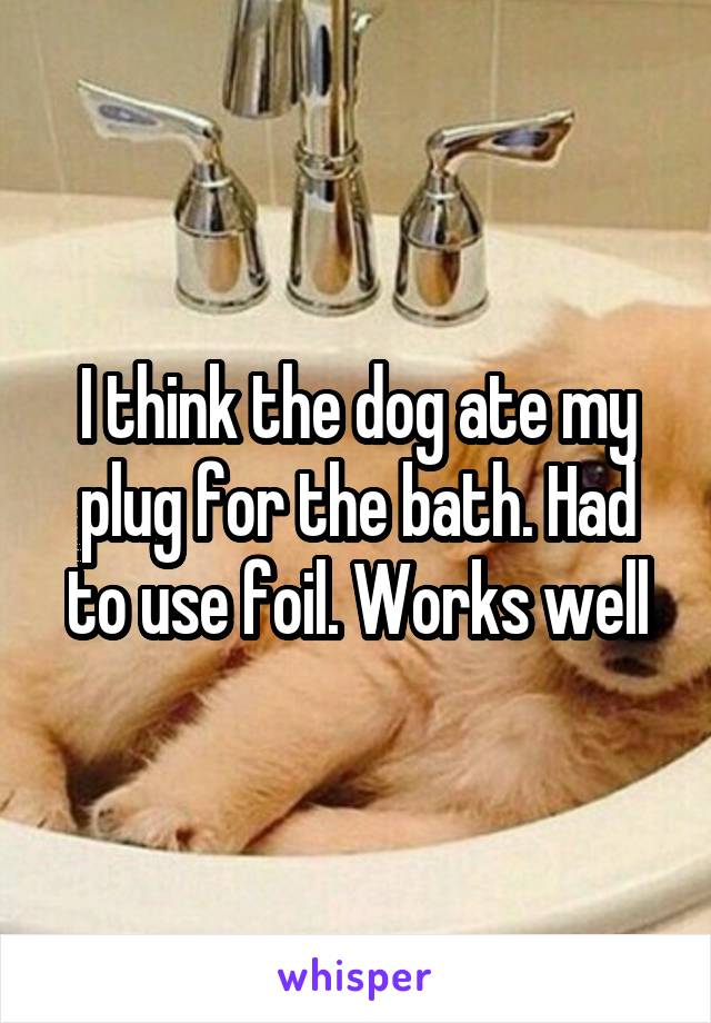 I think the dog ate my plug for the bath. Had to use foil. Works well