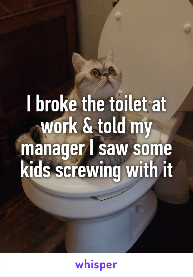 I broke the toilet at work & told my manager I saw some kids screwing with it