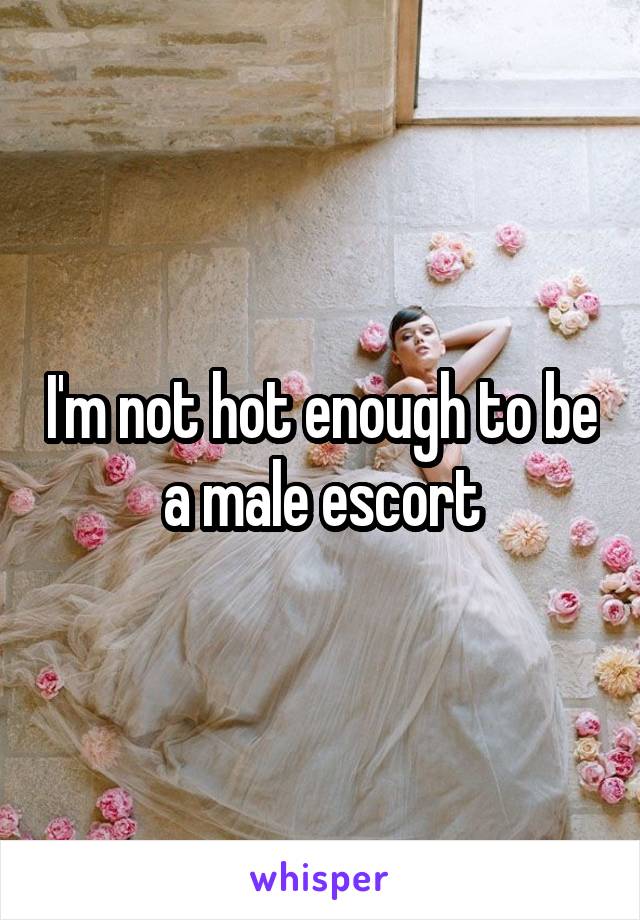 I'm not hot enough to be a male escort