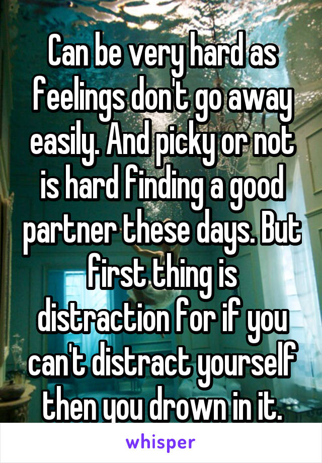 Can be very hard as feelings don't go away easily. And picky or not is hard finding a good partner these days. But first thing is distraction for if you can't distract yourself then you drown in it.