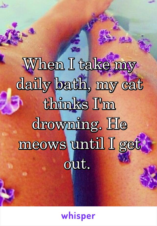 When I take my daily bath, my cat thinks I'm drowning. He meows until I get out. 