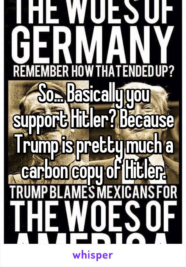 So... Basically you support Hitler? Because Trump is pretty much a carbon copy of Hitler.