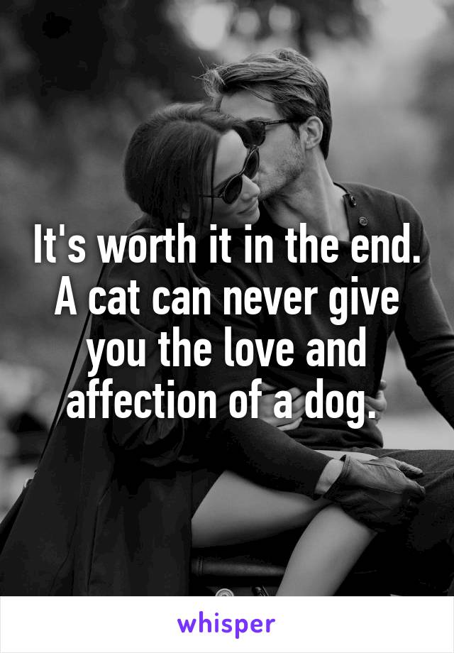 It's worth it in the end. A cat can never give you the love and affection of a dog. 