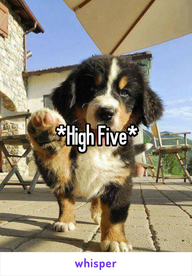 *High Five*