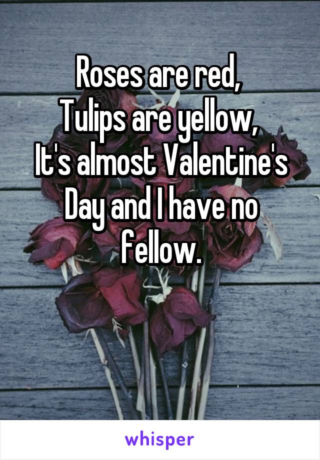 Roses are red, 
Tulips are yellow, 
It's almost Valentine's Day and I have no fellow.


