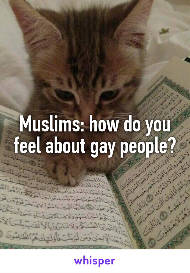 Muslims: how do you feel about gay people?
