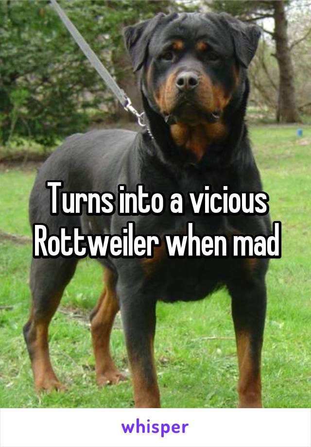 Turns into a vicious Rottweiler when mad