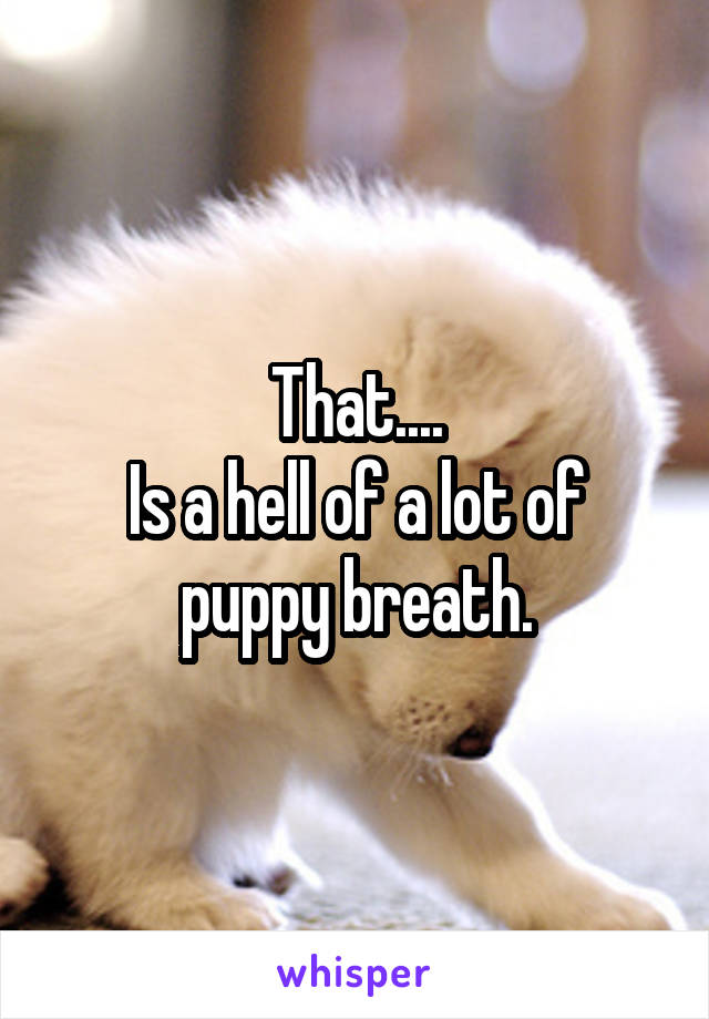 That....
Is a hell of a lot of puppy breath.