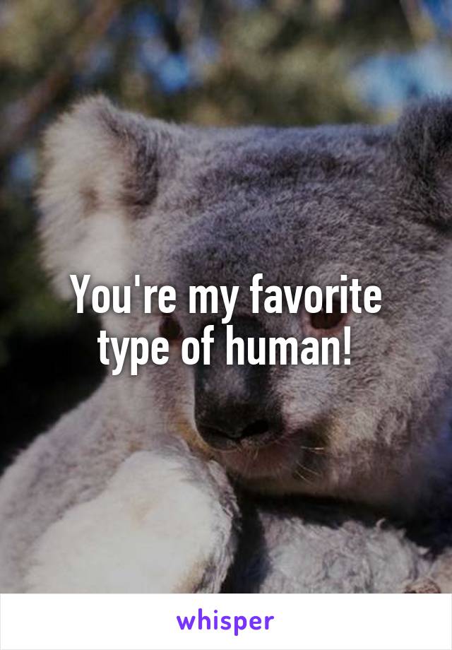 You're my favorite type of human!