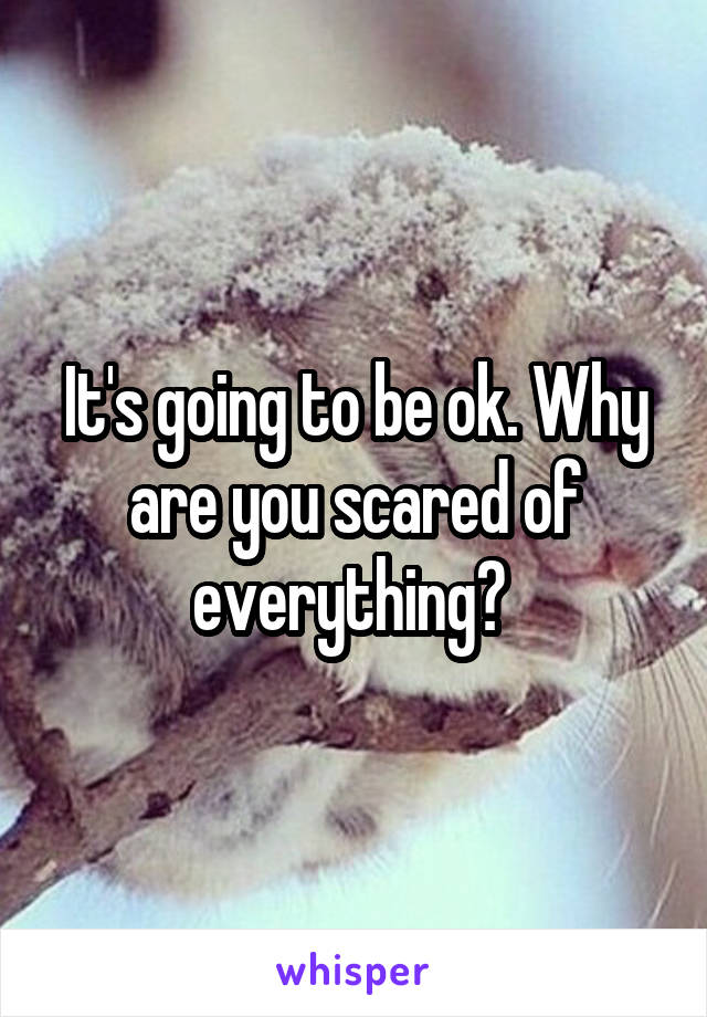 It's going to be ok. Why are you scared of everything? 