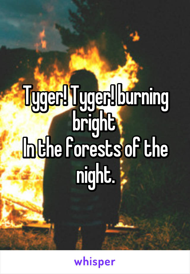 Tyger! Tyger! burning bright 
In the forests of the night.