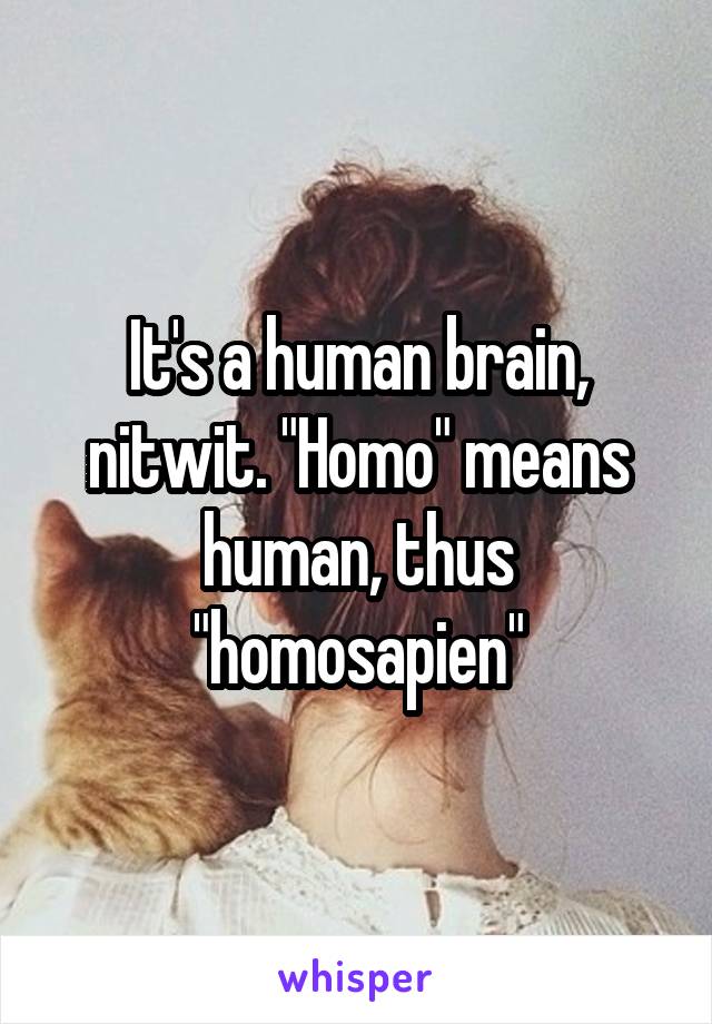 It's a human brain, nitwit. "Homo" means human, thus "homosapien"