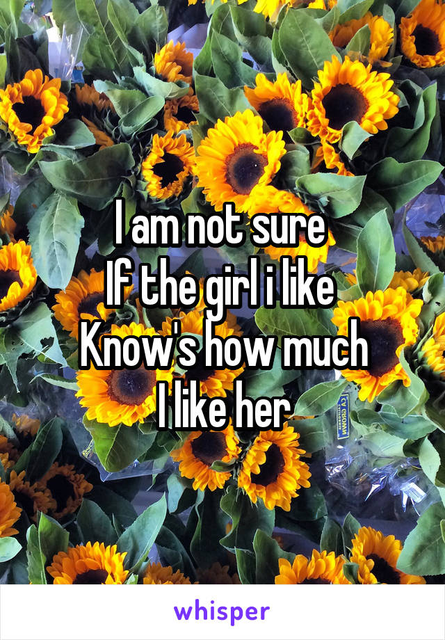 I am not sure 
If the girl i like 
Know's how much
I like her