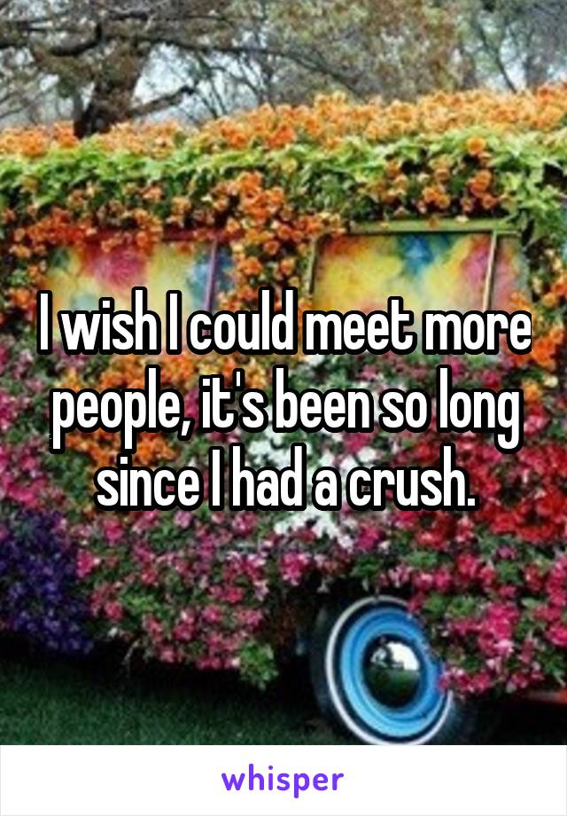 I wish I could meet more people, it's been so long since I had a crush.