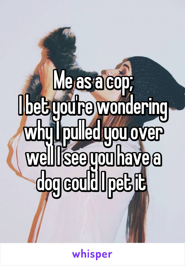 Me as a cop;
I bet you're wondering why I pulled you over well I see you have a dog could I pet it 