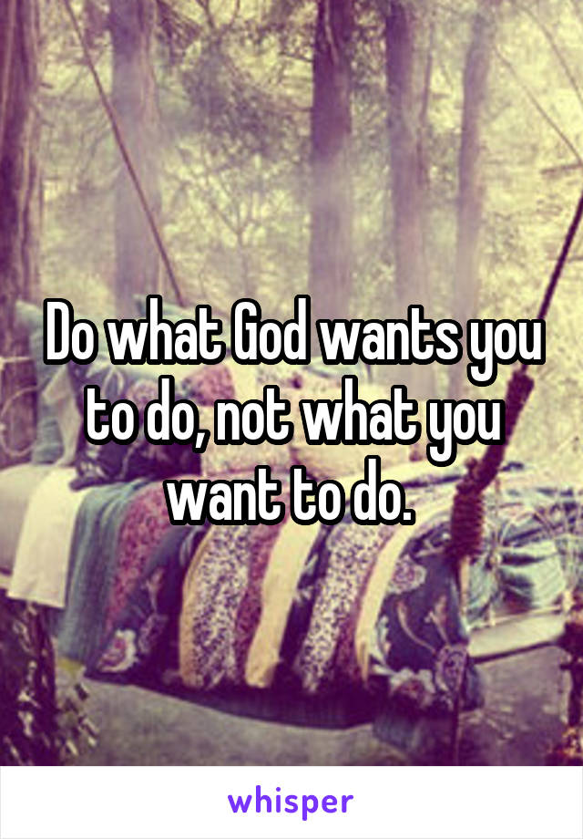 Do what God wants you to do, not what you want to do. 