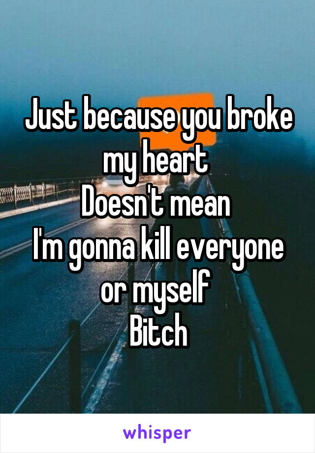 Just because you broke my heart 
Doesn't mean 
I'm gonna kill everyone or myself 
Bitch