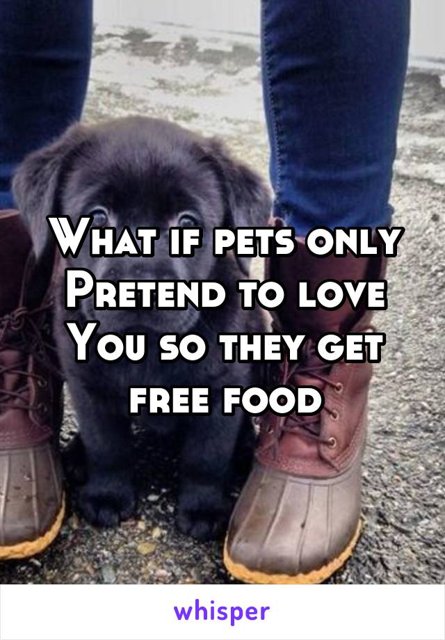 What if pets only
Pretend to love
You so they get free food