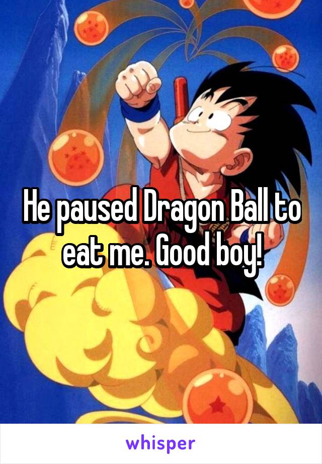 He paused Dragon Ball to eat me. Good boy!