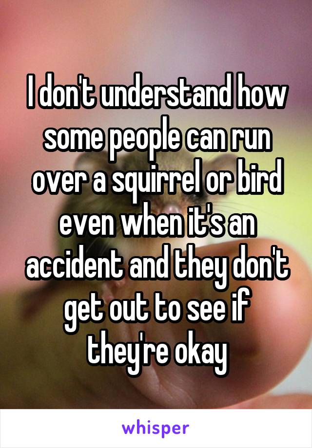 I don't understand how some people can run over a squirrel or bird even when it's an accident and they don't get out to see if they're okay