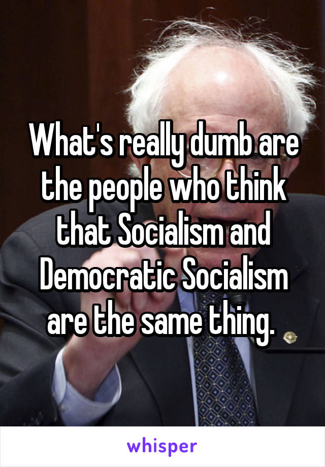 What's really dumb are the people who think that Socialism and Democratic Socialism are the same thing. 