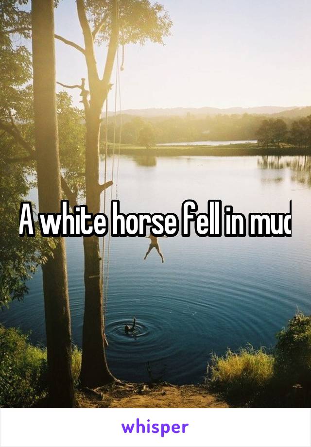 A white horse fell in mud
