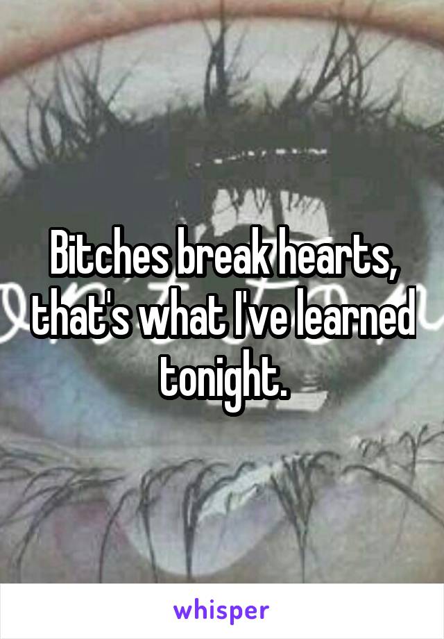 Bitches break hearts, that's what I've learned tonight.