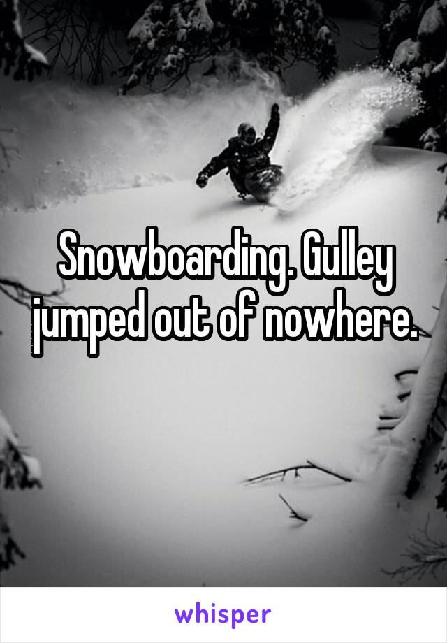 Snowboarding. Gulley jumped out of nowhere. 