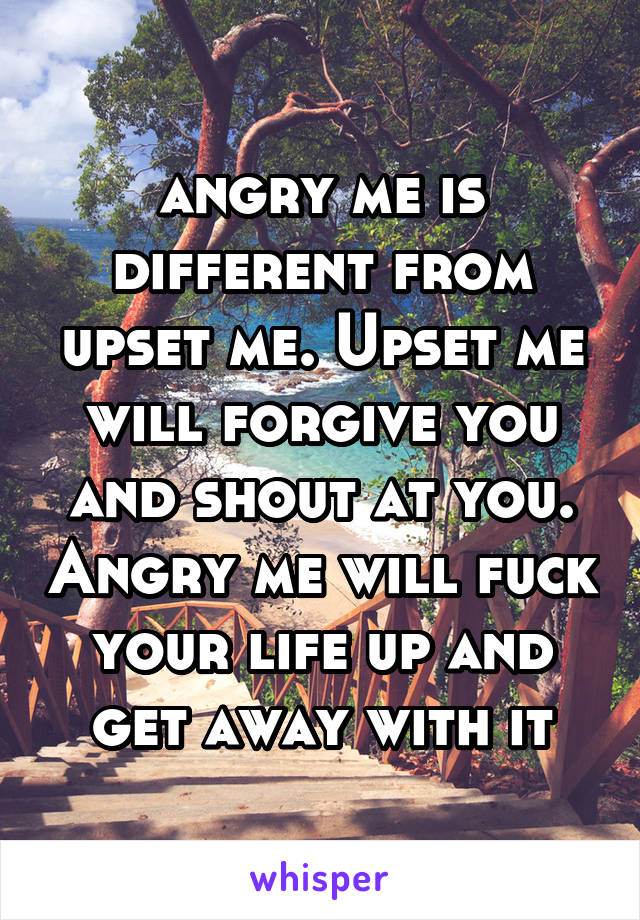angry me is different from upset me. Upset me will forgive you and shout at you. Angry me will fuck your life up and get away with it