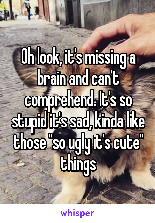 Oh look, it's missing a brain and can't comprehend. It's so stupid it's sad, kinda like those "so ugly it's cute" things