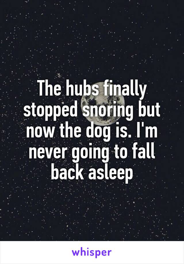 The hubs finally stopped snoring but now the dog is. I'm never going to fall back asleep