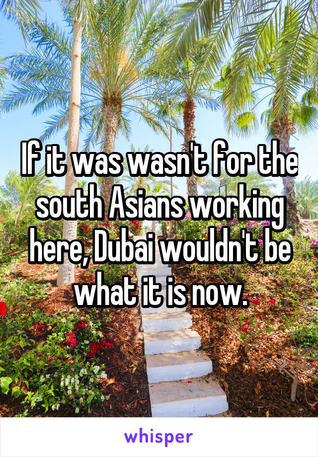 If it was wasn't for the south Asians working here, Dubai wouldn't be what it is now.