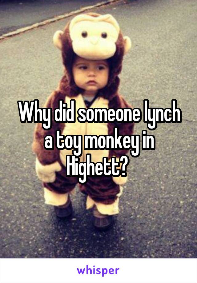 Why did someone lynch a toy monkey in Highett? 