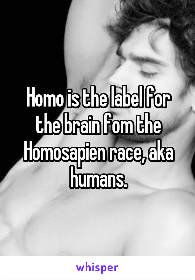 Homo is the label for the brain fom the Homosapien race, aka humans.