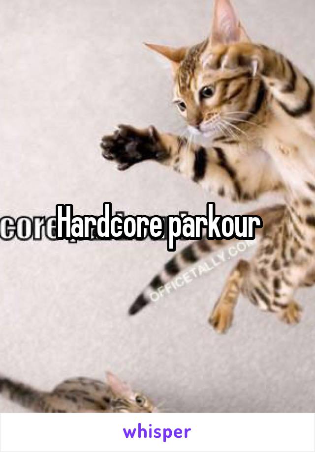 Hardcore parkour