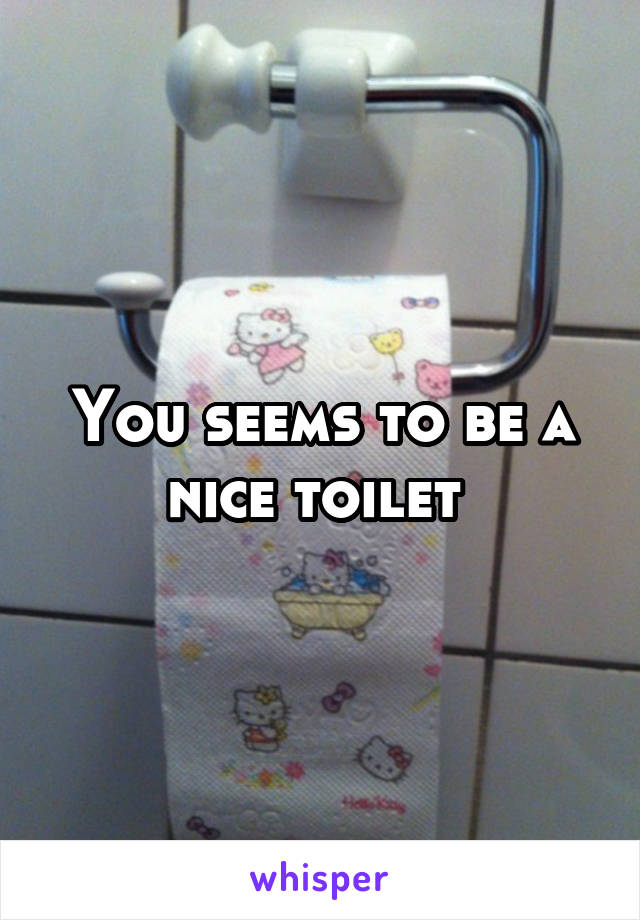You seems to be a nice toilet 