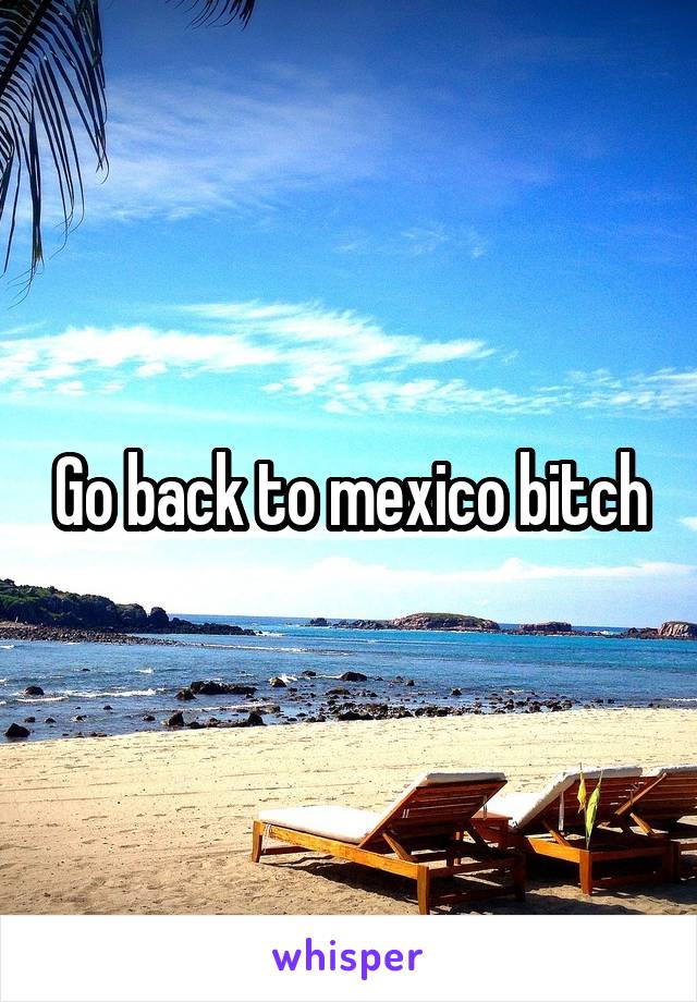 Go back to mexico bitch