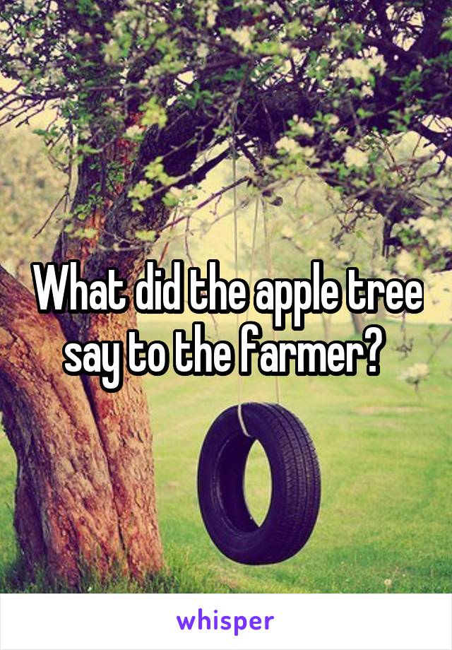 What did the apple tree say to the farmer? 