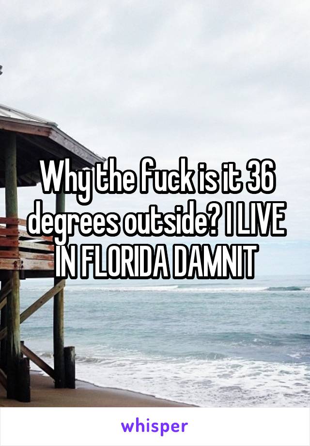 Why the fuck is it 36 degrees outside? I LIVE IN FLORIDA DAMNIT