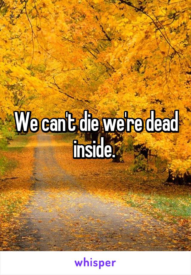 We can't die we're dead inside. 