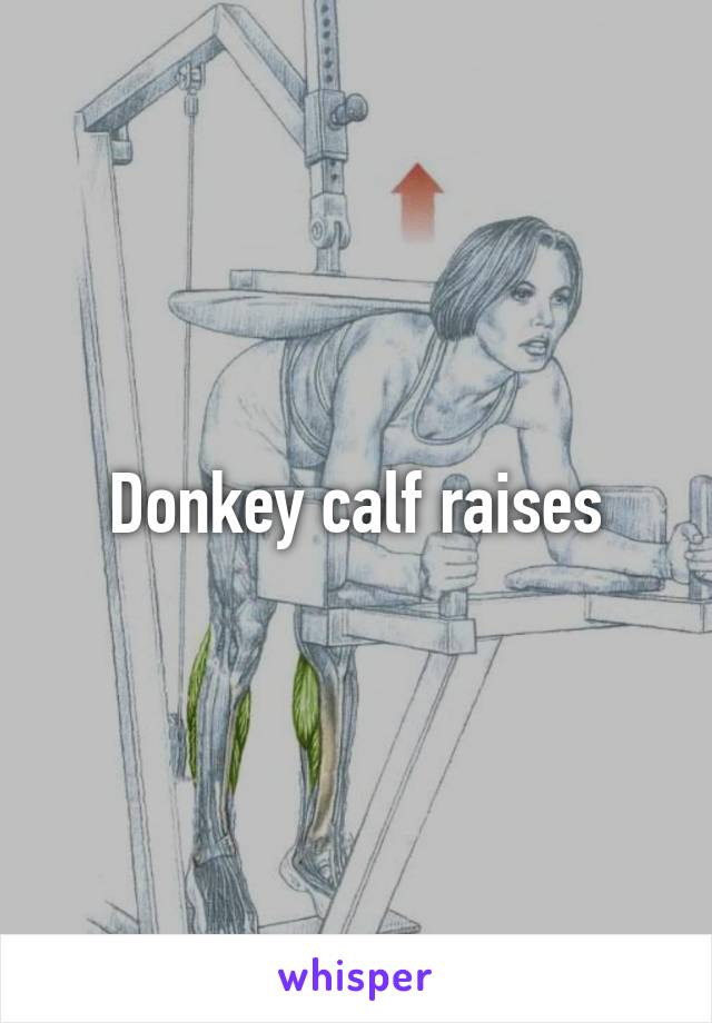 Donkey calf raises
