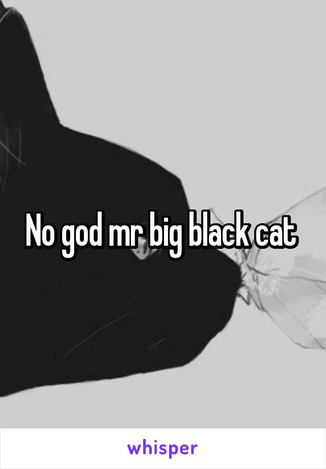 No god mr big black cat 